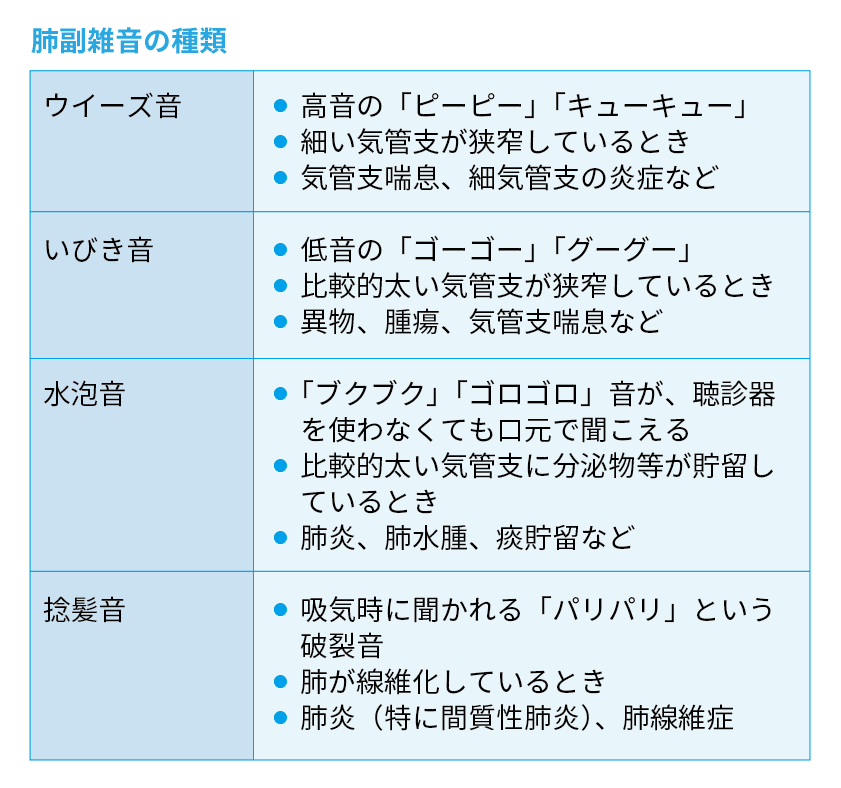 2 嘔吐した後 呼吸時にゼロゼロと音がする Nspace ナースペース 家で 看る あなたを支える