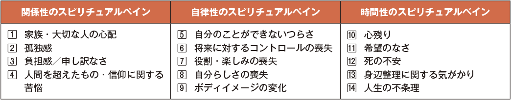 スピリチュアルペインの14項目