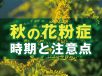 【秋の花粉症】ブタクサ、ヨモギ、カナムグラ。時期と注意点は？