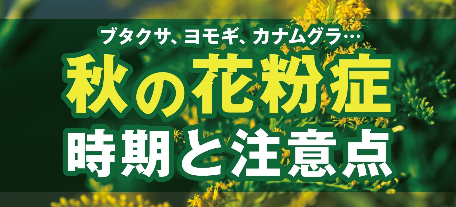 【秋の花粉症】ブタクサ、ヨモギ、カナムグラ。時期と注意点は？