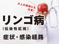 リンゴ病（伝染性紅斑）の症状・感染経路は？大人の感染にも注意