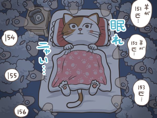 眠れにゃい（ニャースペース）